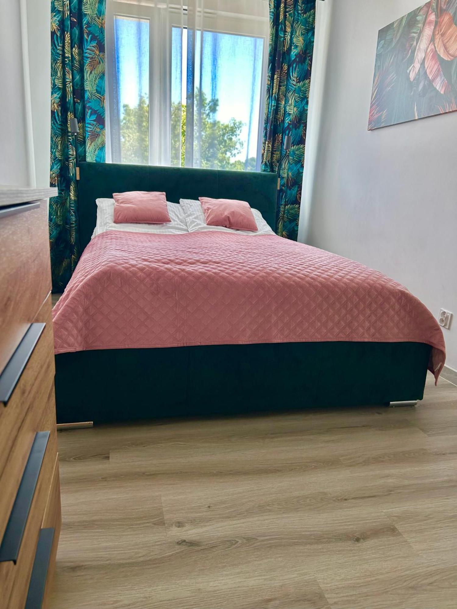 Apartament Akacjowa Apartment โกเลนูฟ ภายนอก รูปภาพ